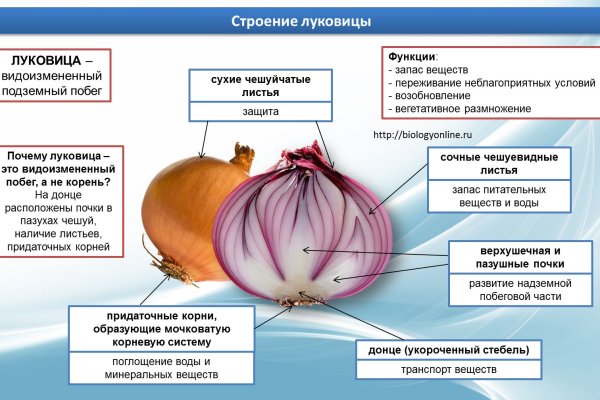 Как найти кракен шоп