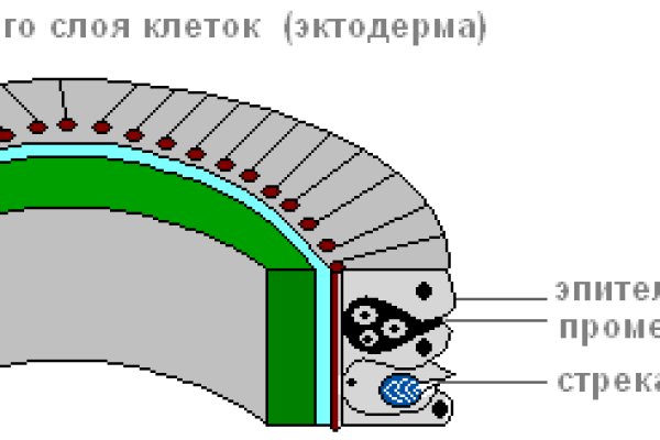 Кракен онион ссылка на тор
