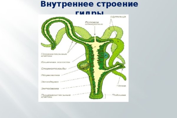 Пользователь не найден кракен