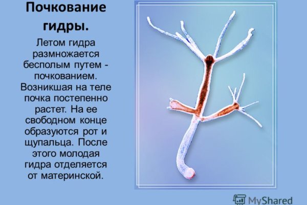 Кракен как зайти через тор браузер