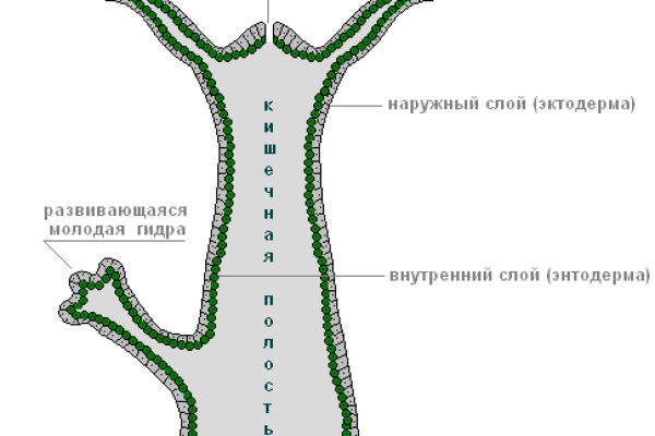 Кракен маркетплейс закрыли